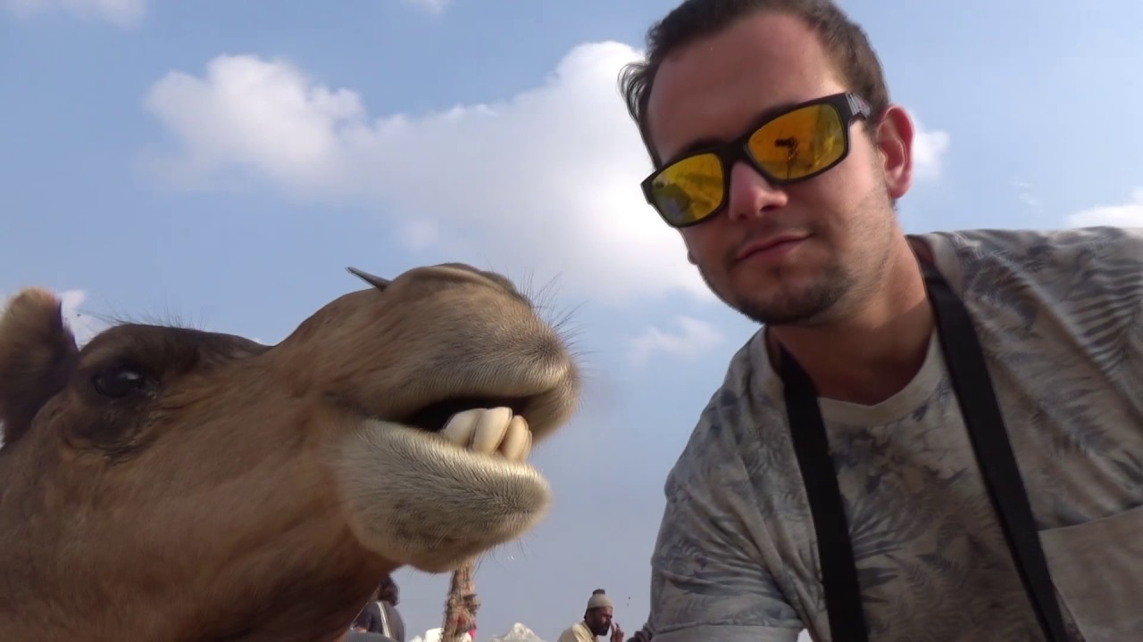 Abu Camel Safari 2017