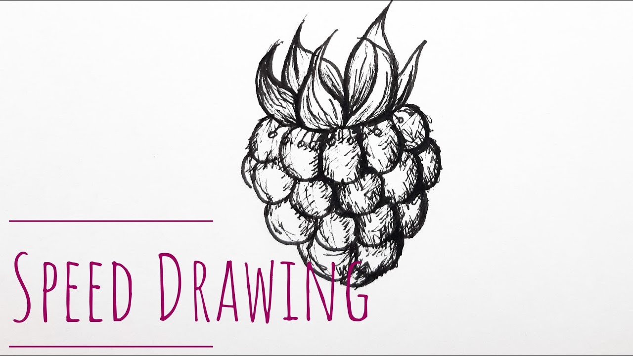 Raspberry Speed Drawing / DiyArts - YouTube