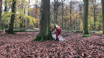 Stihl ms 661 lumberjack Sweden