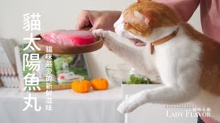 貓太陽魚丸超美蛋捲好愛【貓主食食譜】好味貓廚房EP71