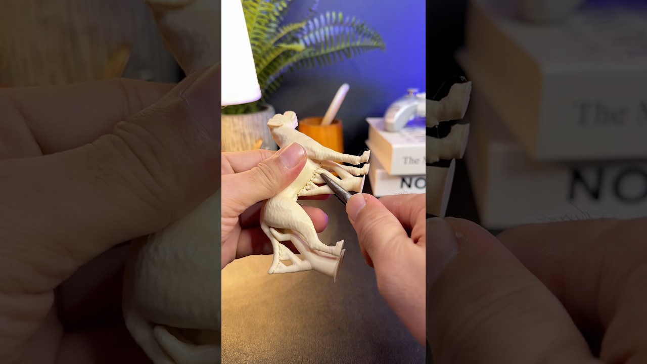 3D Printed Boxer 🐕 | Realistic Dog 3D Model for Printing 