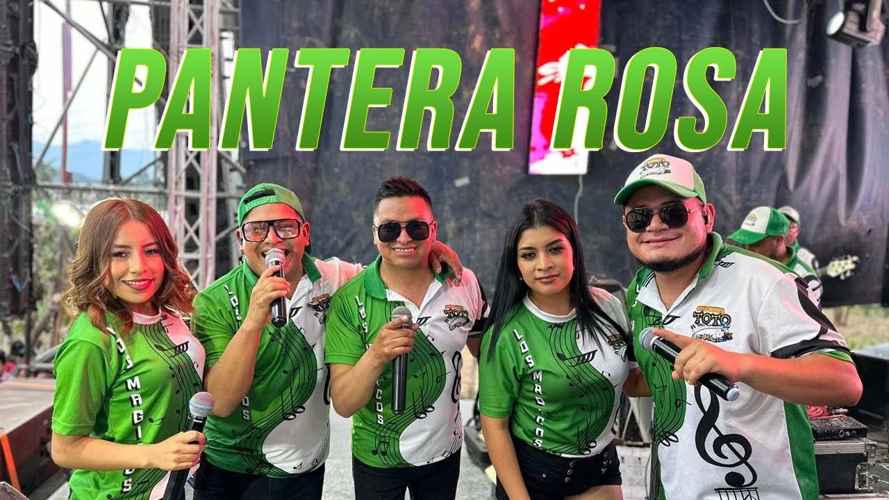Pantera Rosa Song Pantera Rosa - Orquesta de Toto (Lo más nuevo) Audio EN VIVO