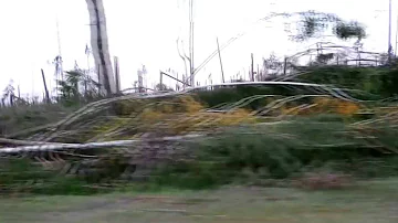 Ураган уничтожил лес. The hurricane destroyed the forest. Tornado.