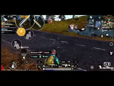 chicken in pubg  support