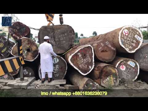 ভিডিও: স্যান্ডব্লাস্টিং কাঠ: একটি কাঠের ঘর, লগ হাউস এবং কাঠকে যন্ত্রপাতি দিয়ে পরিষ্কার করা, লগগুলি গ্রাইন্ড করার সুবিধা এবং অসুবিধা