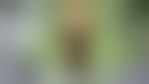 Diplo feat. Nicky Da B - Express Yourself (Official Video)