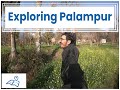 Exploring the Beautiful Palampur || Vlog 3 ||