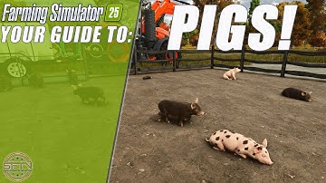EVERYTHING YOU NEED TO KNOW ABOUT PIGS IN FARMING SIMULATOR 25!