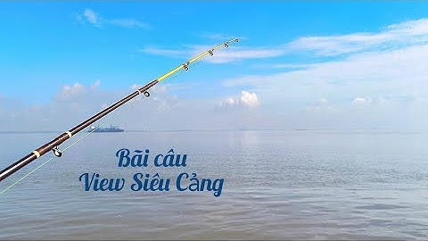 Điểm câu giải trí view Siêu Cảng Cần Giờ, cá ăn liên tục.