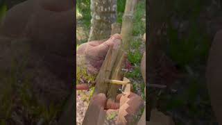 Handcraft a Simple wooden slingshot # Craft Idea # DIY # Simple Trigger
