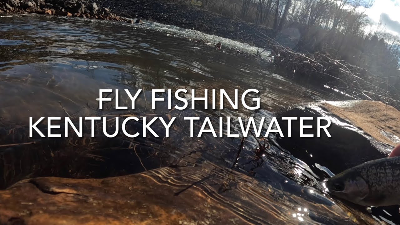 COLD Tailwater Trout Fishing— Fly Fishing Eastern Kentucky YouTube