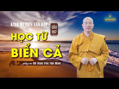 Học từ biển