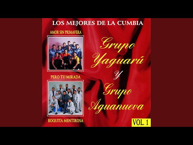 Grupo Yaguarú - Se Fue Mi Amor