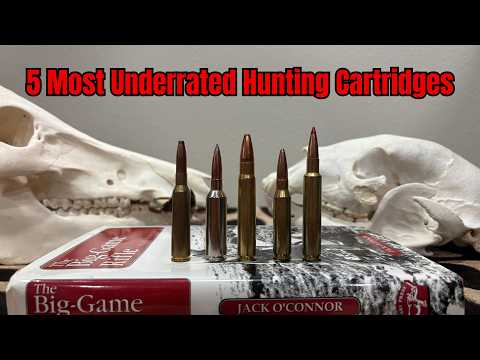 5 Underrated Hunting Cartridges That Deserve More Respect