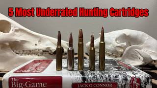 5 Underrated Hunting Cartridges That Deserve More Respect