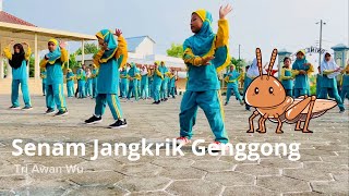 Senam Jankrik Genggong #jangkrik #jangkrikgenggong #fyp #viral