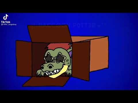 1 minute (and 46 seconds) of random videos in my storage/gallery |READ DESC|- ¡!•RACCØØN.P0TT3R •`°
