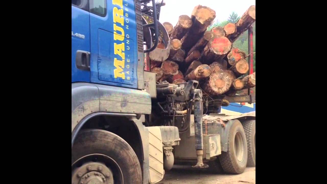 SchachenHorn Bodman - Ludwigshafen