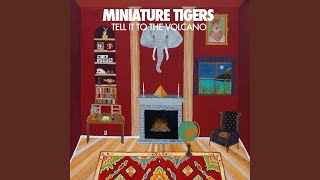 Video thumbnail of "Miniature Tigers - Like or Like Like"