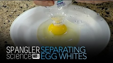 Separating Egg Whites and Egg Yolks - Cool Science Experiment