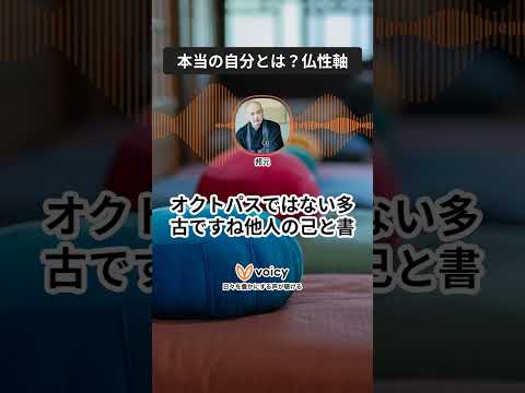 本当の自分とは？自分軸で生きる？仏性軸で生きよう！