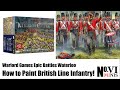 How to speedily paint warlord games epic battles waterloo british line infantry