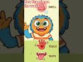 Sense organs 👃👂👁️👅😜 #science#senseoftaste#sense#viral#shortsfeed#esl#innovativ#activelearning#boost