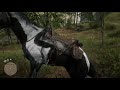 My horse got a little too close 😂 - Red Dead Redemption 2 #funny #memes #rdr2