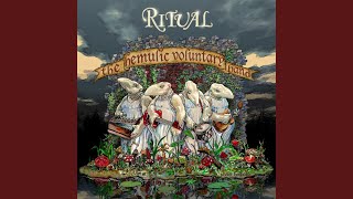 Video thumbnail of "Ritual feat. Spikey T - Late In November"