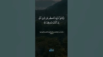 وَإِن كُنتُمۡ فِی رَیۡبࣲ | ياسر الدوسري - سورة البقرة [ ٢٣ - ٢٤ ]