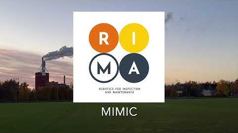 MIMIC  - Project Overview