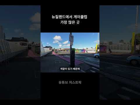 뉴질랜드에서 게이클럽들이 가장 많은 곳