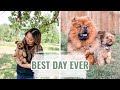 THE BEST DAY EVER | DOG VLOG