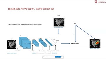 A Review of Evaluation Approaches for Explainable AI With Applications in Cardiology