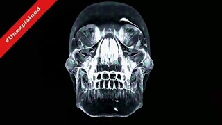 Datos Alien Object The Mitchell - Hedges Crystal Skull ★★★ Guía