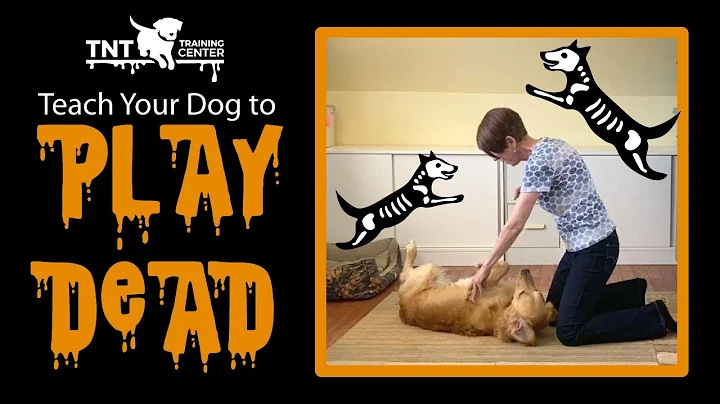 How to Teach Your Dog to Play Dead