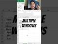 Tutorial Multiple Windows di Microsoft Excel✨