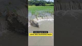 কৃষকের মাঝেও নেই, এখন একতা আর ভালোবাসা💞 #shots #youtubeshorts #farmer #update#trending