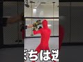 テオくんの一撃で朝倉未来が悶絶!?!?【スカイピース】