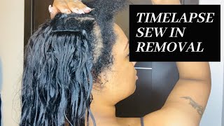 😯3 MONTH OLD SEW IN REMOVAL- TIMELAPSE