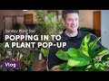 POP-UP SUCCULENT & HOUSEPLANT Market — Ep. 045