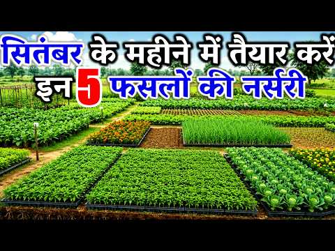 Which Vegetable Nurseries to Prepare in September-October | Which Vegetables to Plant in Septembe...