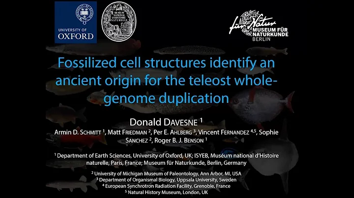 Donald Davesne :Fossilized cell structures identif...