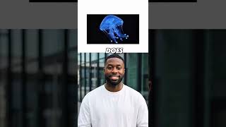 Google Omni Just Solved the Biggest Problem With AI Video