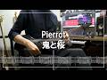 Pierrot - 鬼と桜 (Guitar cover)