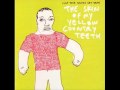 Capture de la vidéo The Skin Of My Yellow Country Teeth - Clap Your Hands Say Yeah