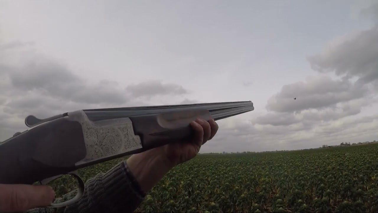 Хитрые февральские голуби с хитрыми розовыми чучелами. Охота на голубей с использованием чучел.