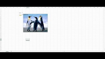 How to insert a picture into a comment box in Microsoft Excel