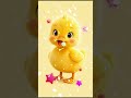 #cuteduck #babyanimals #duckling #duck #cuteanimals