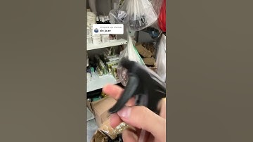 Vòi Bình Xịt Nước Cắt Tóc, Vòi Thay Thế Bình Xịt Cắt Tóc, Vòi Bình Xịt Barber